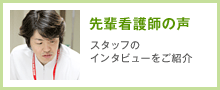 先輩看護師の声