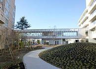 中庭